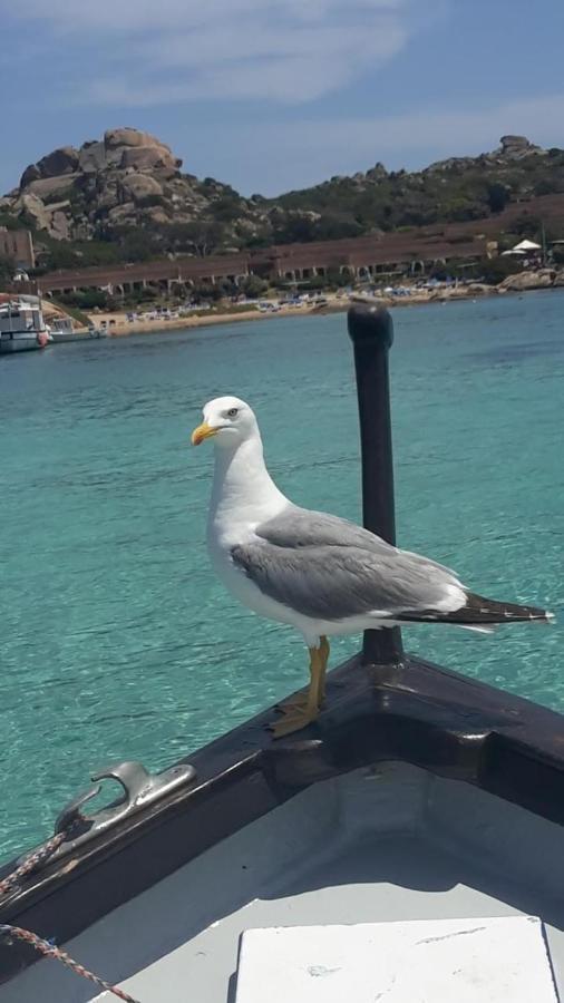 Appartamento Bluewater La Maddalena  Zewnętrze zdjęcie